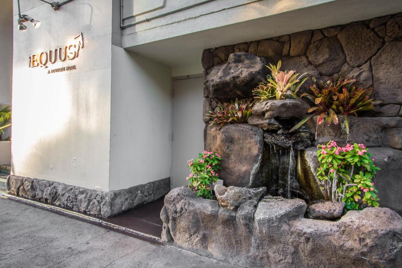 Hotel Equus