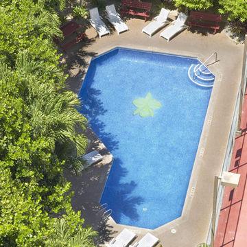 Equus Honolulu