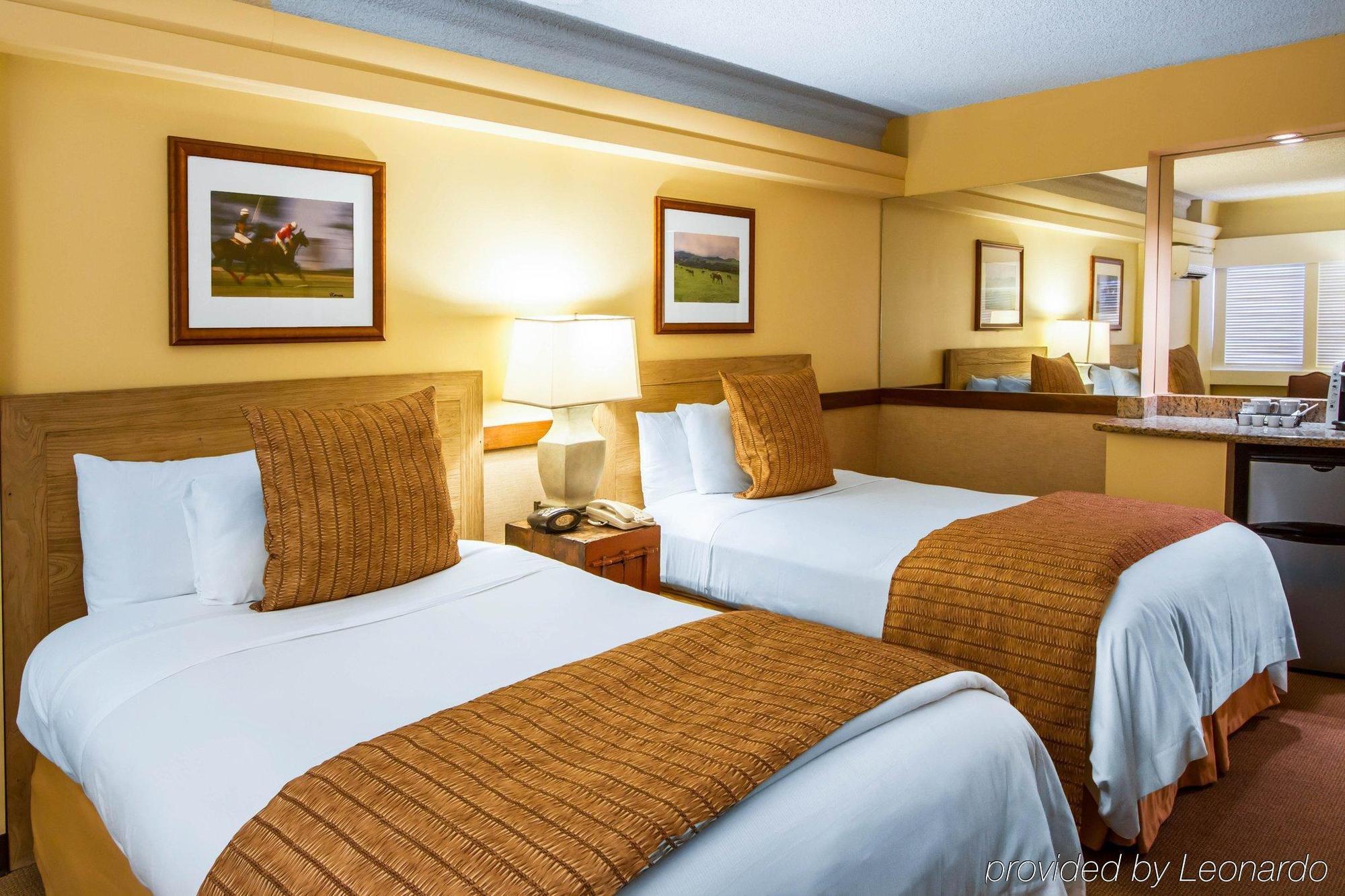 Hotel Equus 3*