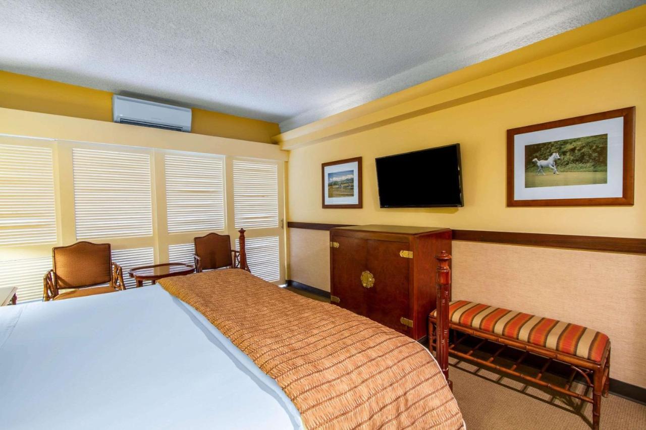 Hotel Equus Honolulu