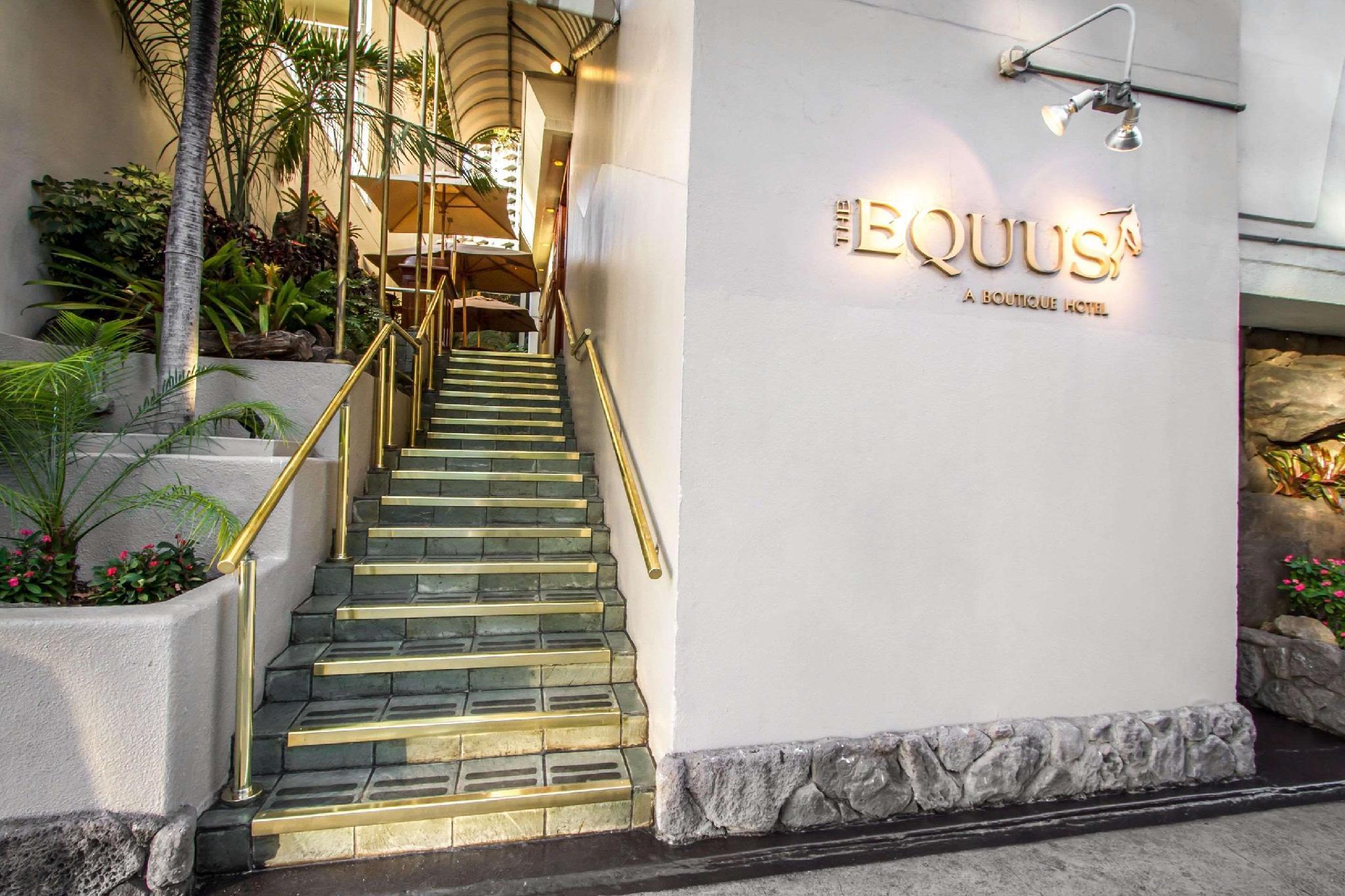 Equus 3*